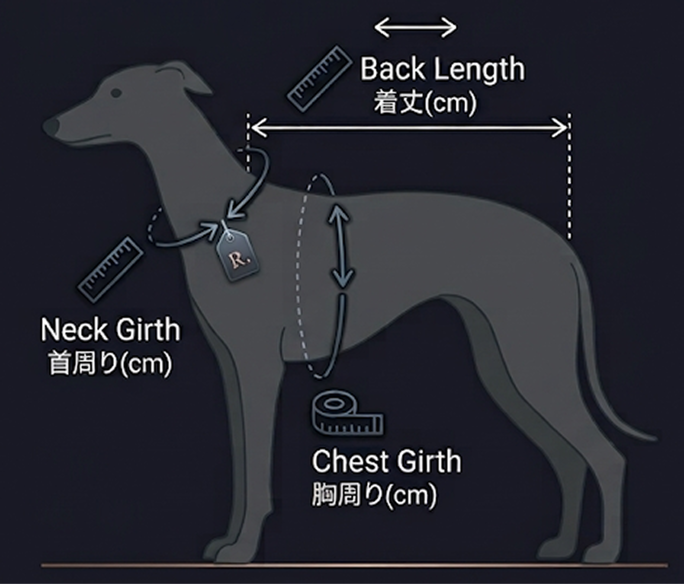 サイズ計測部位の図解（Back Length / Neck Girth / Chest Girth）
