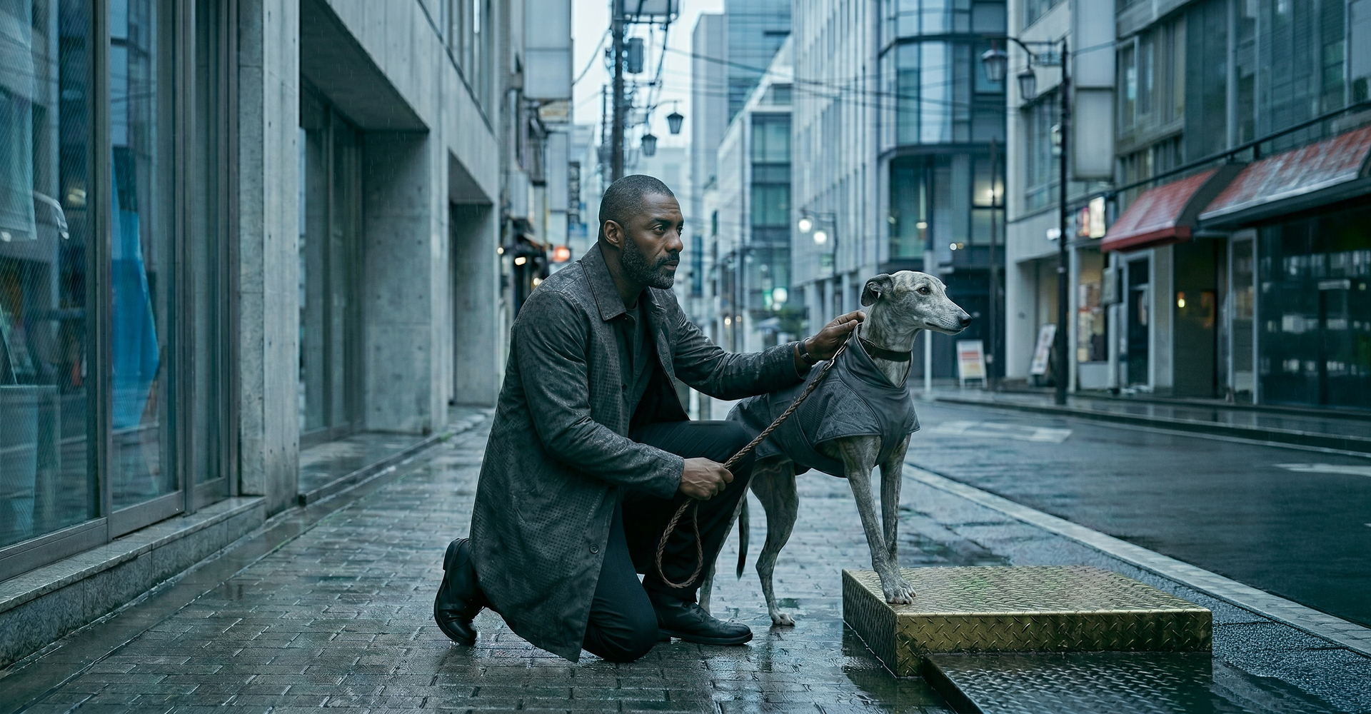 雨上がりの街路で、しつけられた犬（コート着用）と男性が向き合う構図